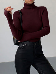 Vasilisa | Turtleneck Long Sleeve Jumper